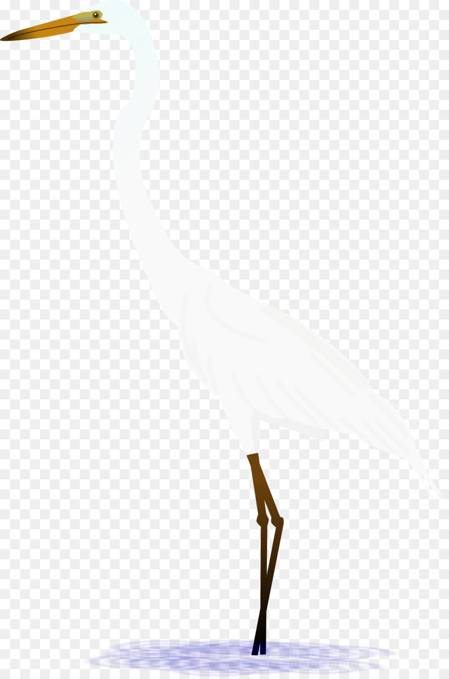 Aigrette，Blanc PNG