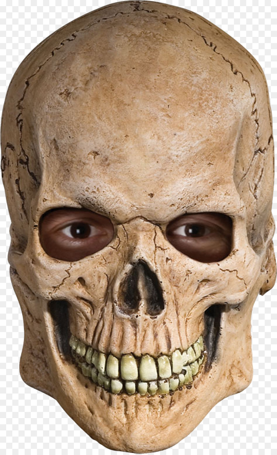 Masque De Crâne，Crâne PNG