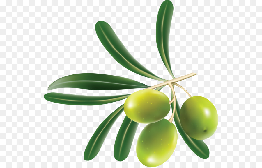 Olives，Fruit PNG