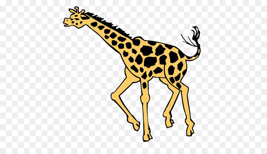 Girafe，Faune PNG