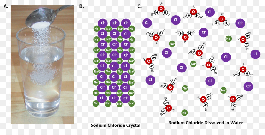 Chlorure De Sodium，Dissolution PNG