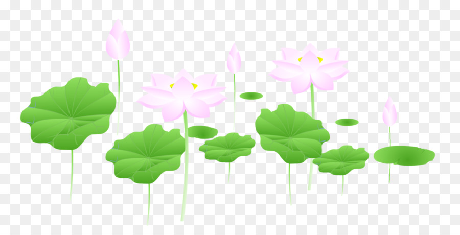 Fleurs De Lotus，Eau PNG