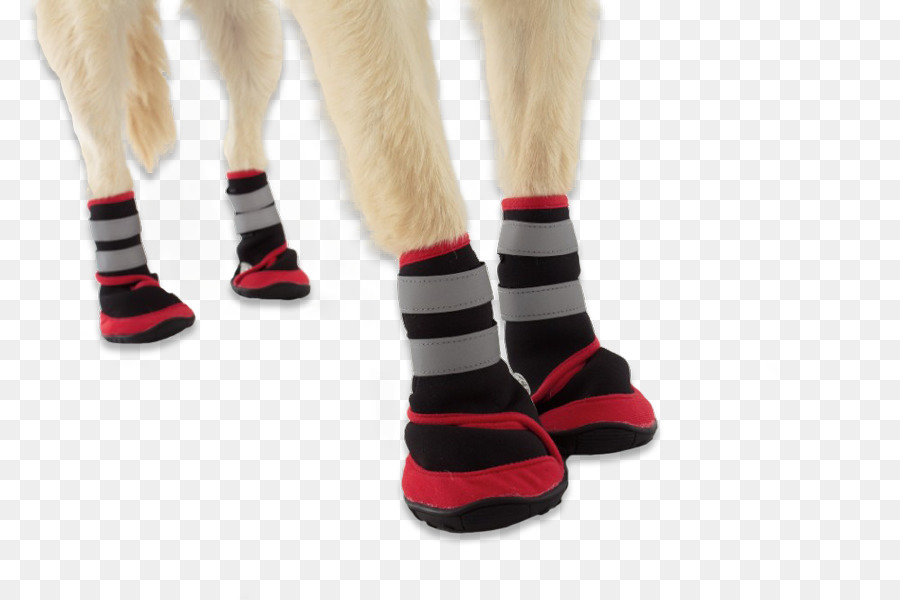 Chien，Chien Bottines PNG