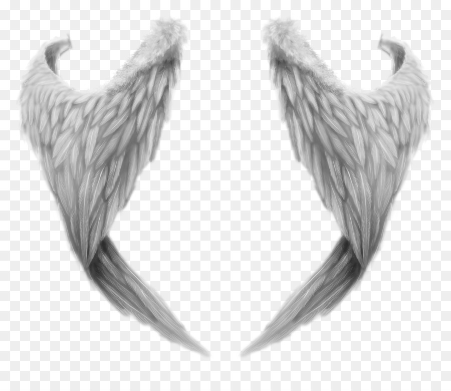 Ailes D'ange，Plumes PNG