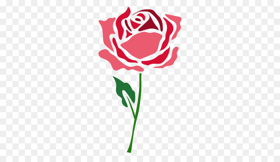 Roses，Floraison PNG