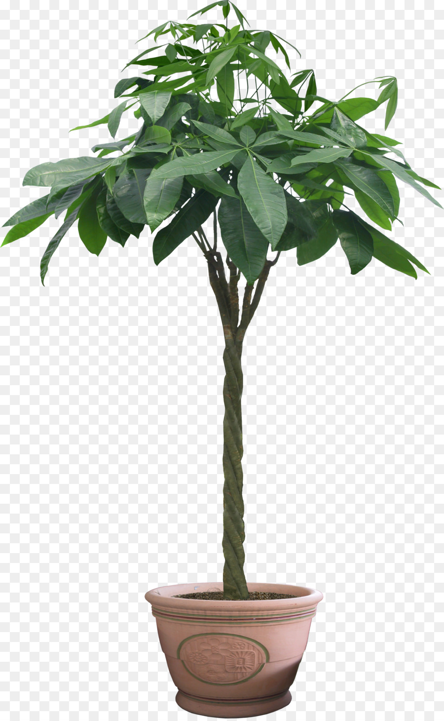 Usine，Arbre PNG