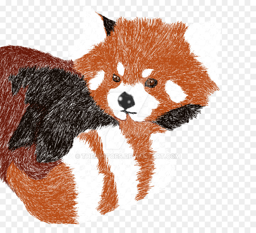 Renard Rouge，Panda Rouge PNG