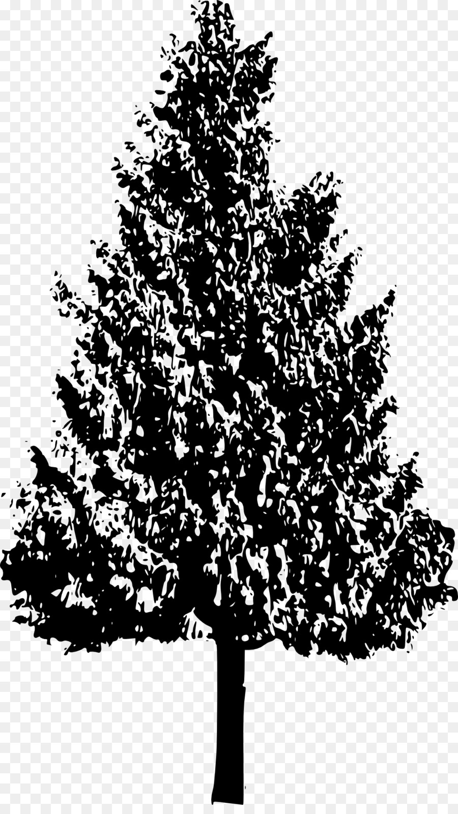 Arbre，Pin PNG