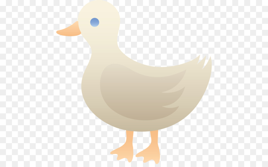 Canard，Mallard PNG