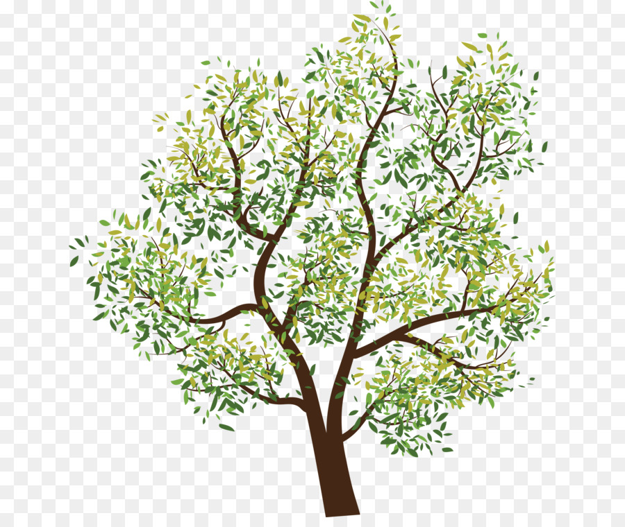 Arbre，Feuilles PNG