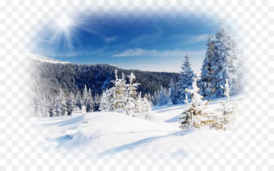 Paysage Enneigé，Hiver PNG