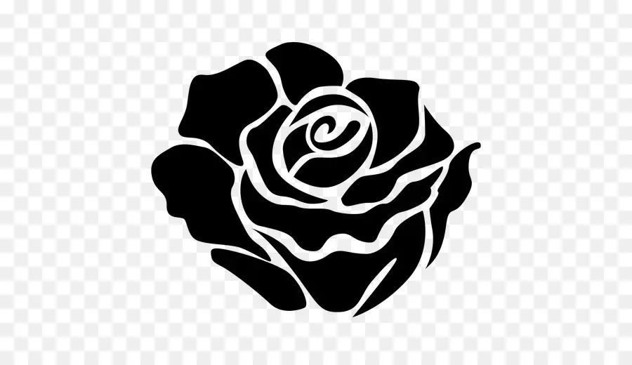 Rose，Floraison PNG