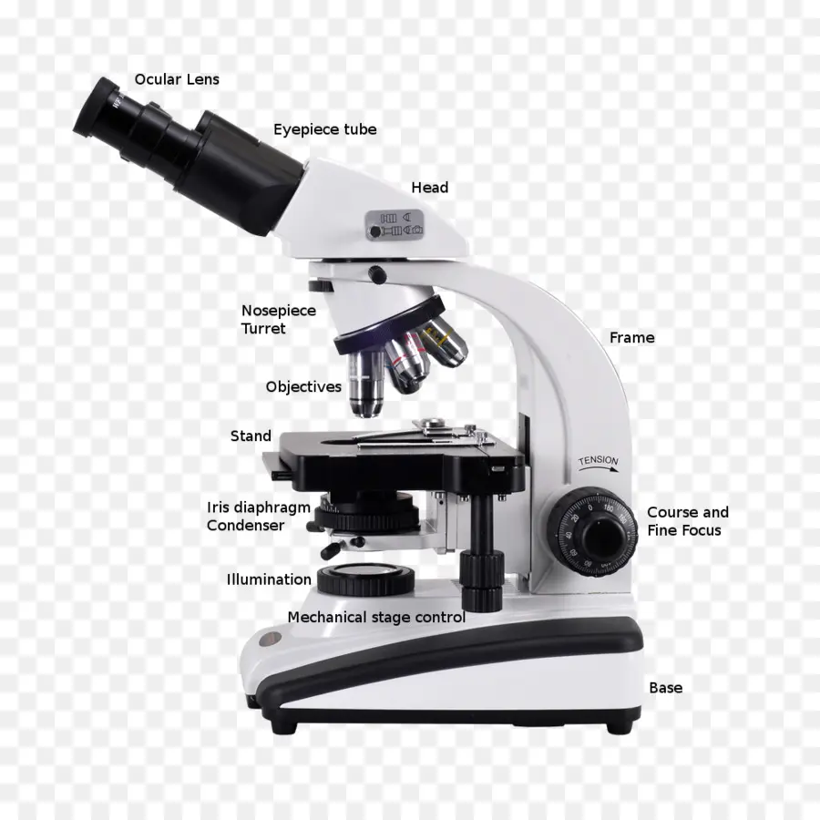 Microscope，Laboratoire PNG