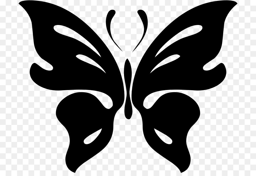 Papillon Noir，Insecte PNG