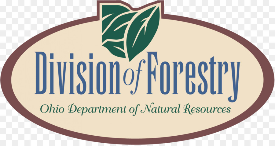 Division Des Forêts，Ohio PNG