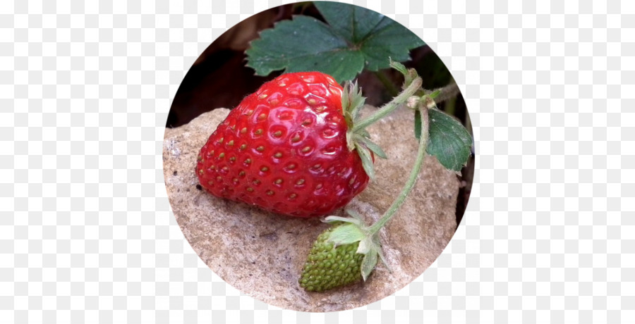 Fraise，Nourriture PNG