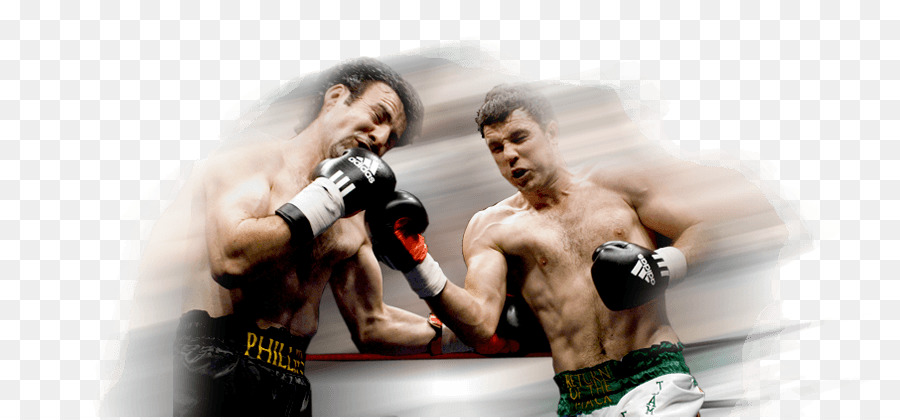 Boxe，Sport PNG