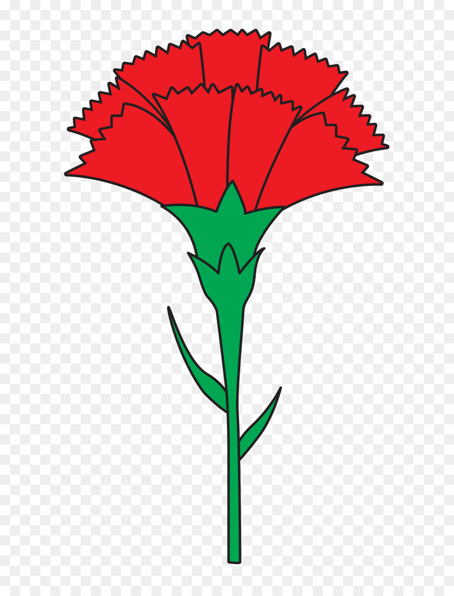 Plante，Fleur PNG