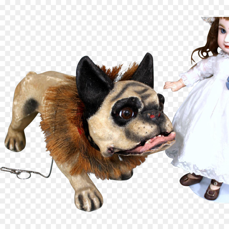 Chien，Museau PNG