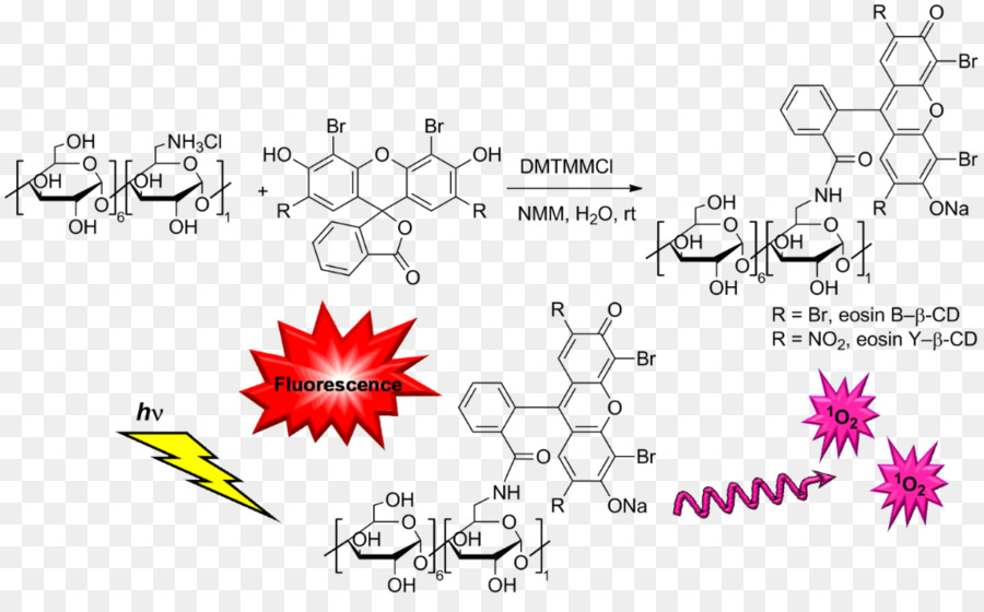 L éosine，Cyclodextrine PNG