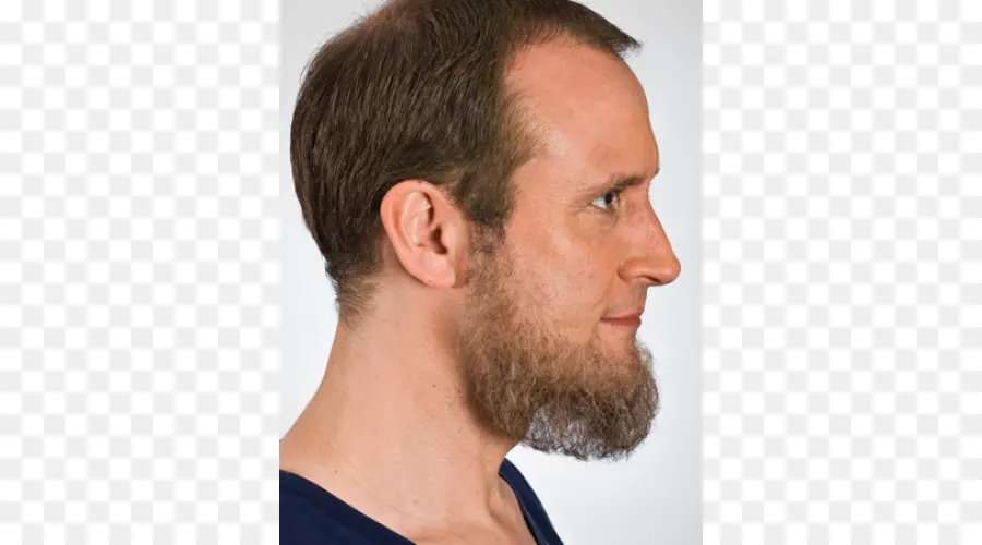 Homme à La Barbe，Profil PNG