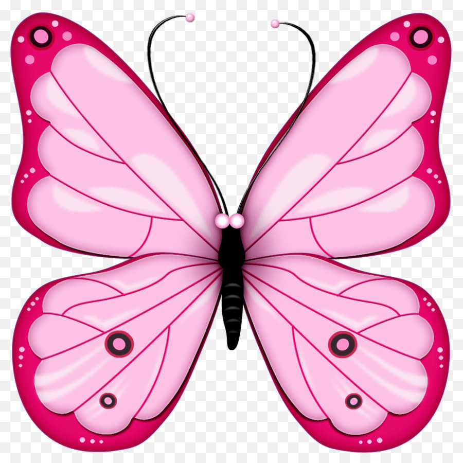 Papillon，Rose PNG