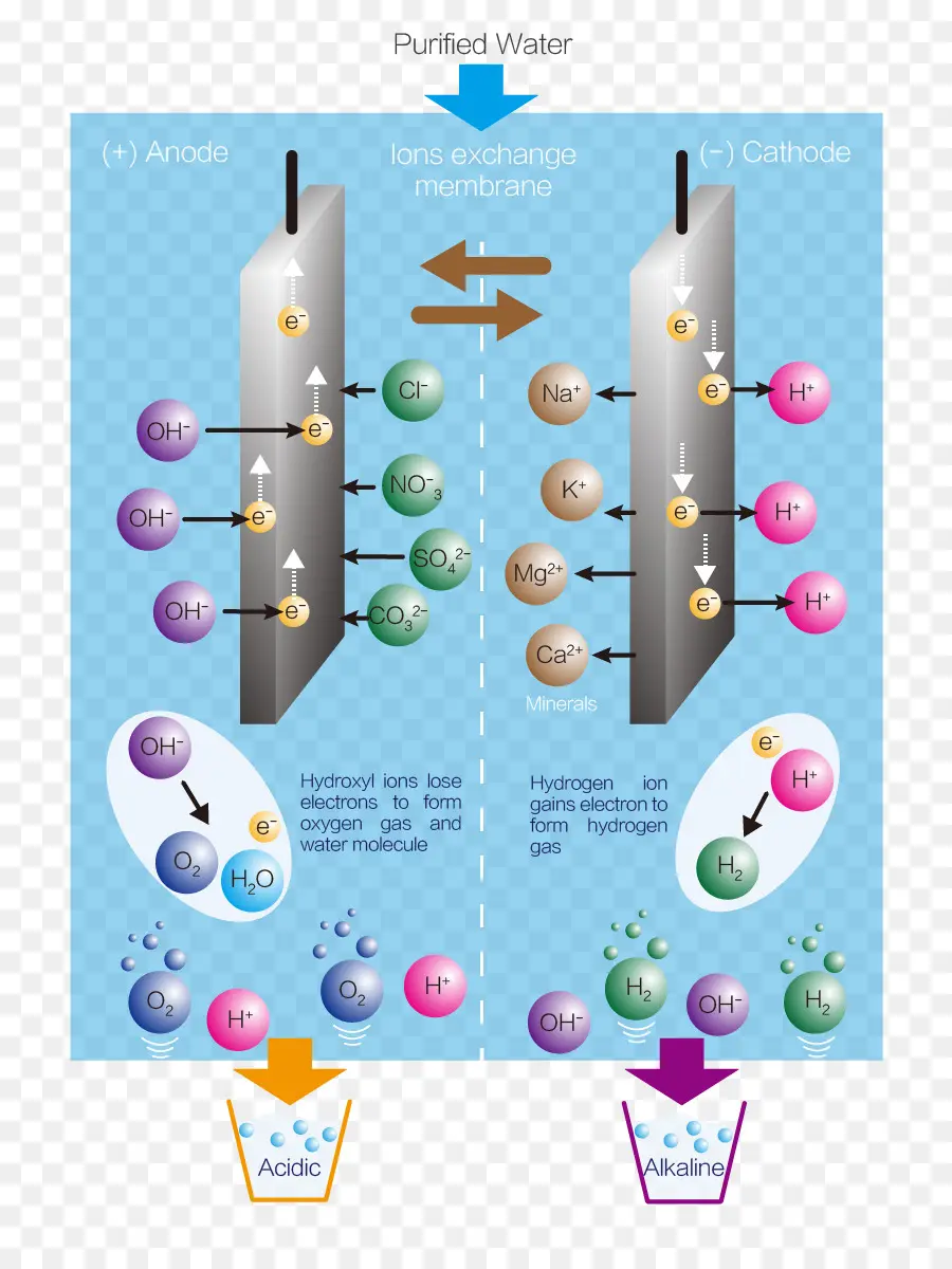 Ionisation De L'eau，Électrolyse PNG