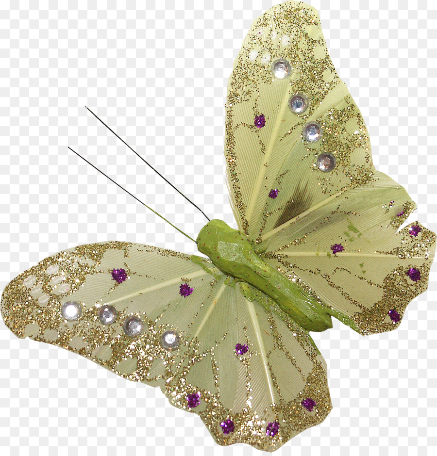 Papillon Jaune，Insecte PNG