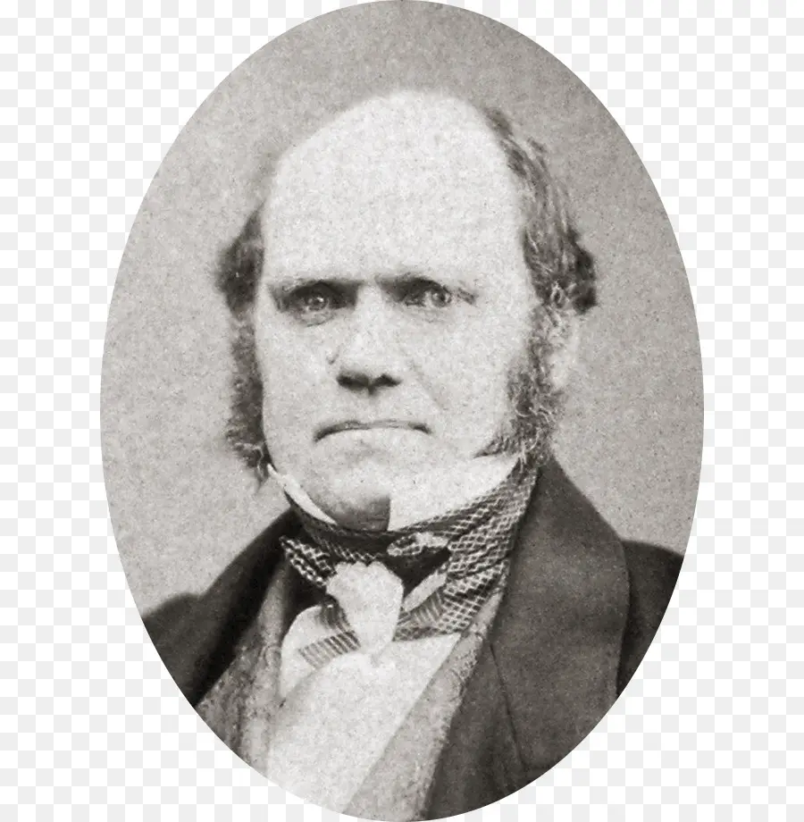 Charles Darwin，à Propos De L'origine Des Espèces PNG