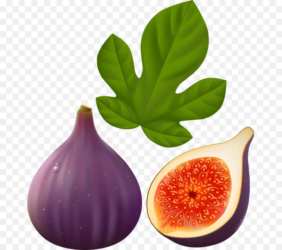 Figue，Feuille PNG