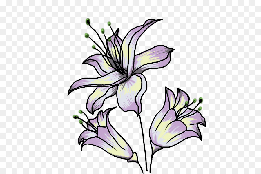 Fleur，Dessin PNG