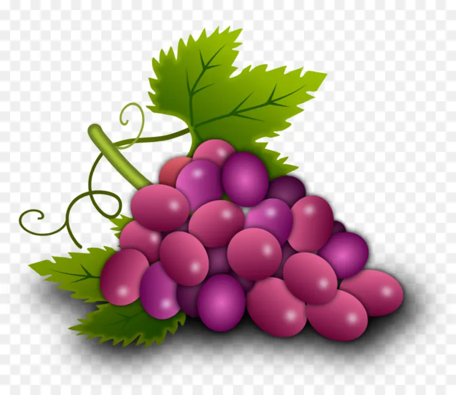 Raisins，Vigne PNG