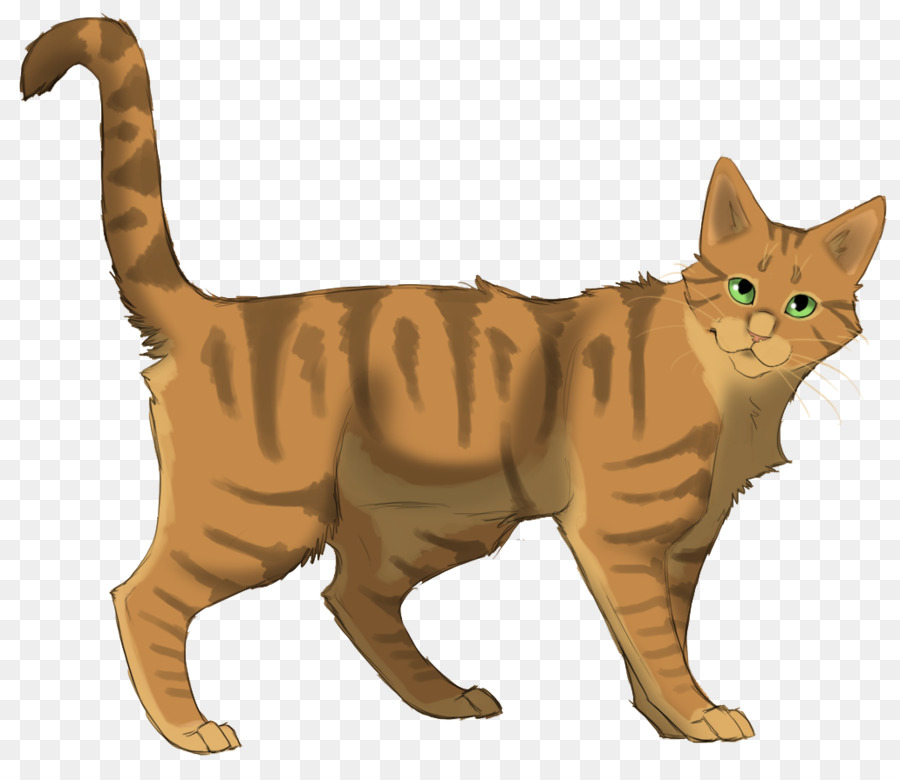 Chat，Animal De Compagnie PNG