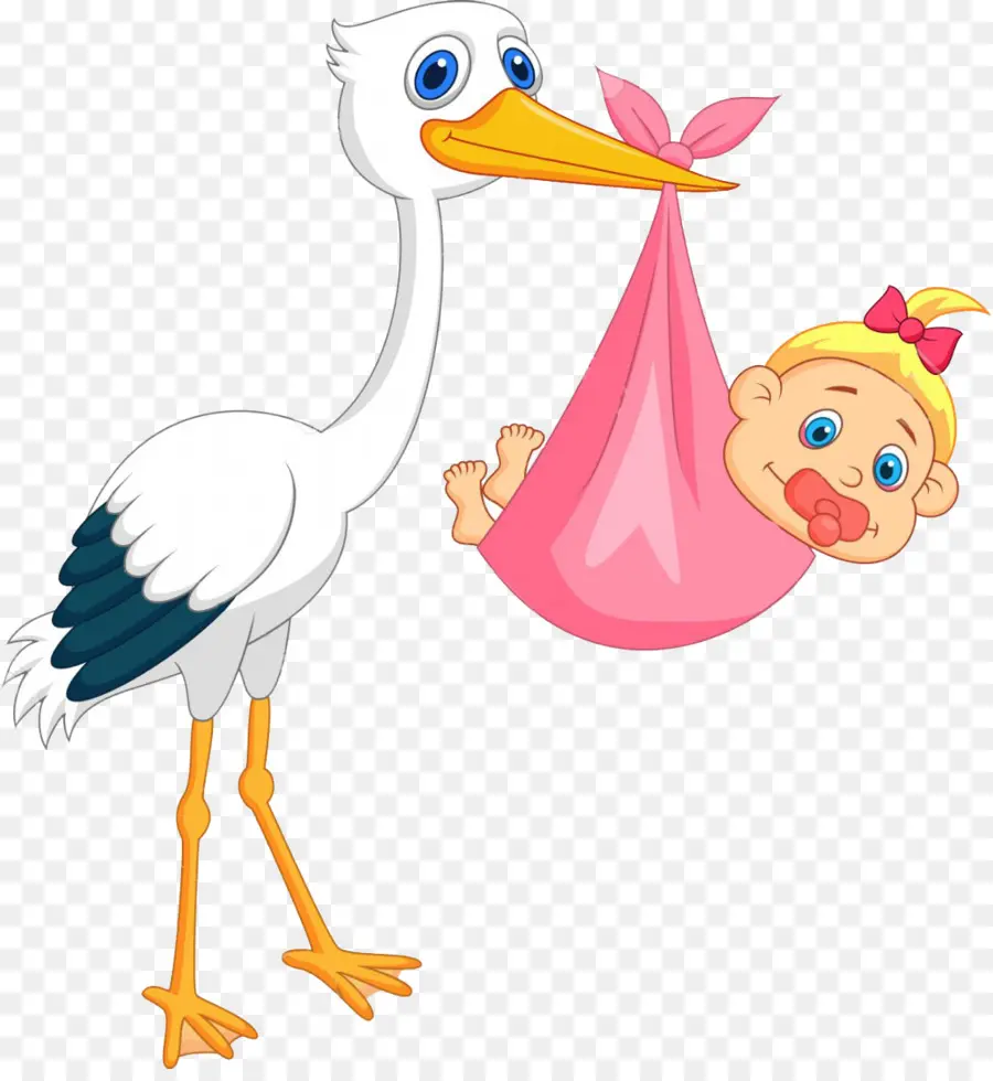 Cigogne Avec Bébé，Nouveau Né PNG