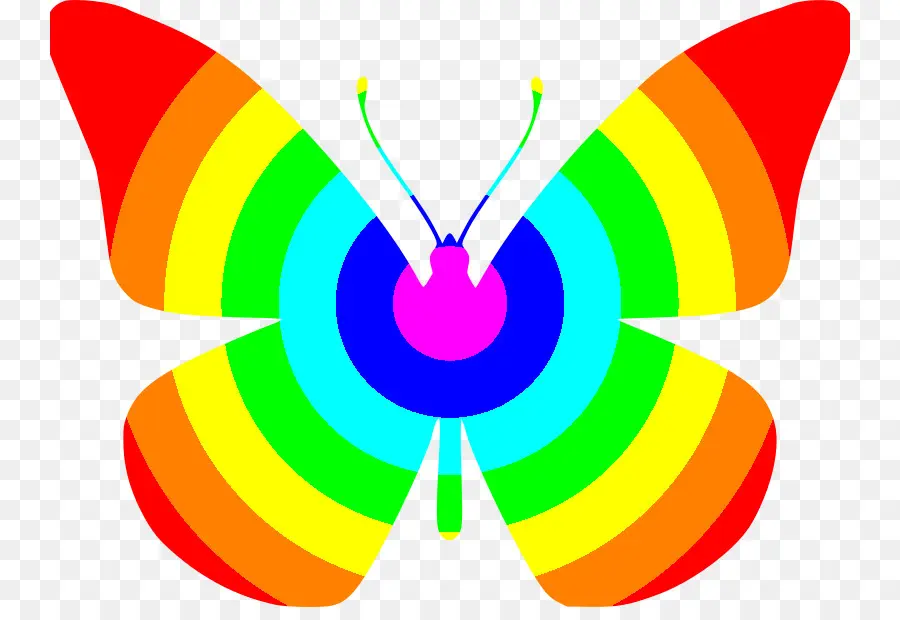 Papillon Arc En Ciel，Coloré PNG