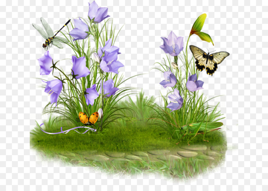 Fleurs Et Papillons，Jardin PNG