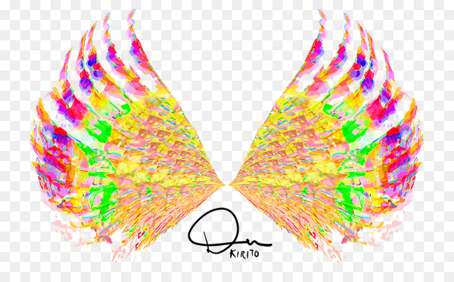 Ailes Colorées，Plumes PNG