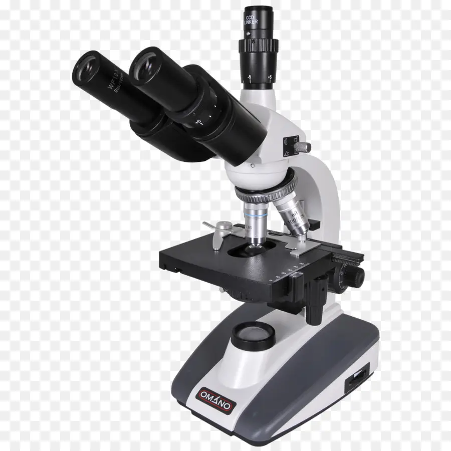 Microscope，Science PNG