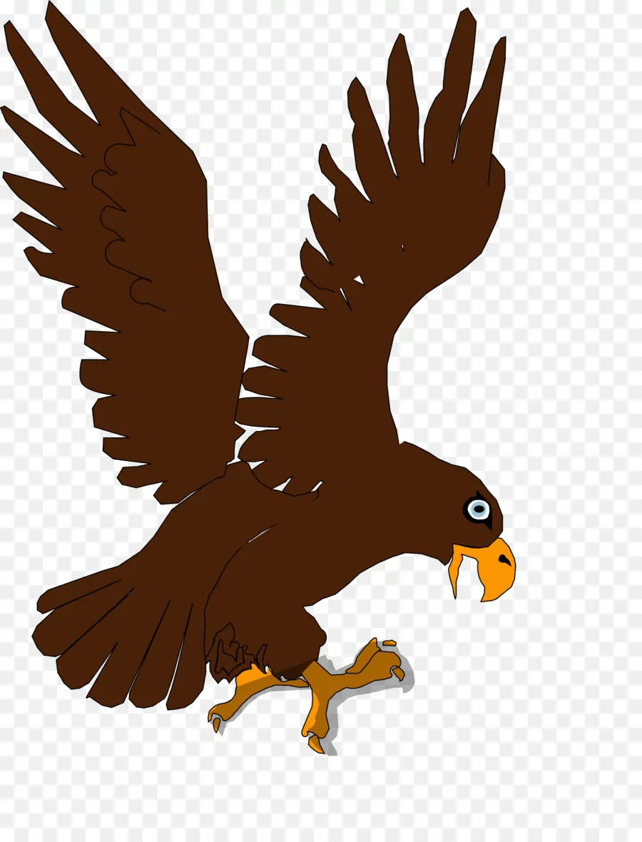 Aigle，Oiseau PNG