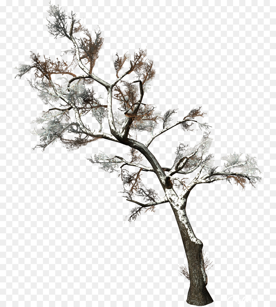 Arbre，Usine PNG