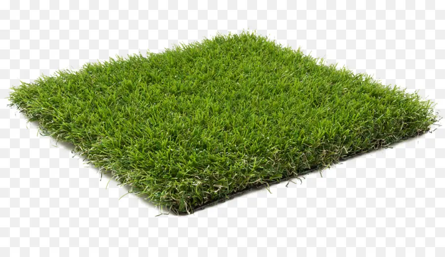 Herbe，Pelouse PNG