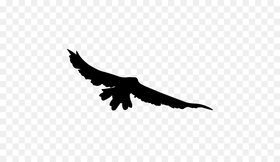 Silhouette D'oiseau Volant，Ailes PNG