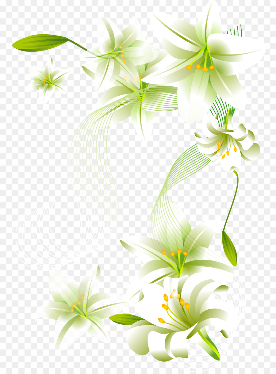 Fleurs Blanches，Fleurir PNG