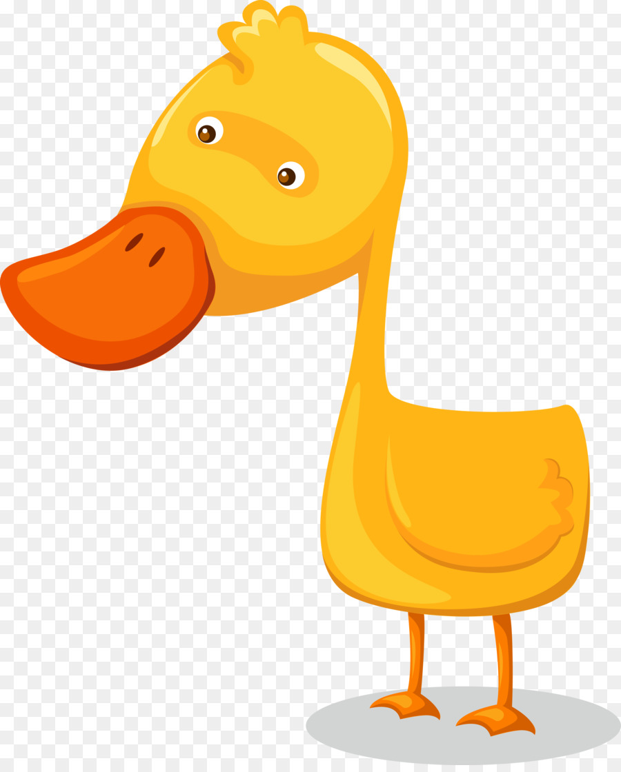 Canard Jaune，Bec PNG