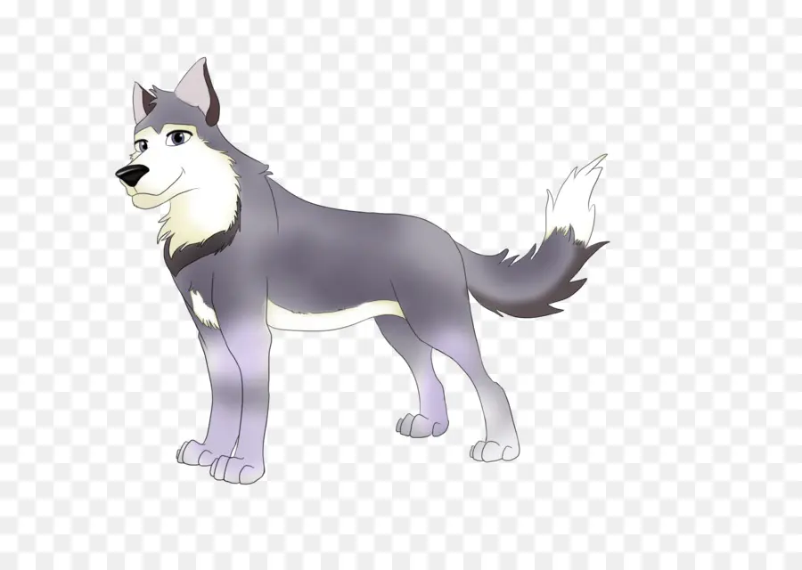 Husky Sibérien，Croc Blanc PNG