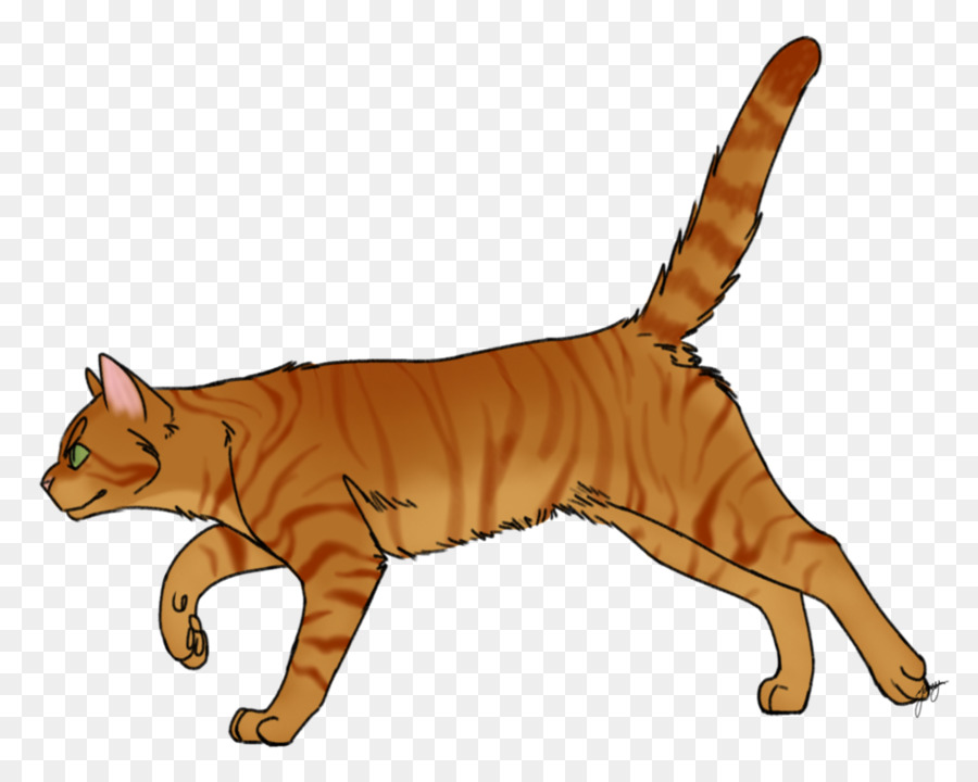 Chat，Animal De Compagnie PNG