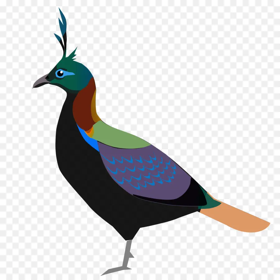 Oiseau，Uttarakhand PNG