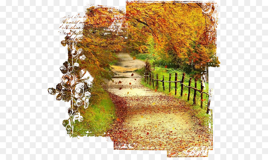 Chemin D'automne，Nature PNG