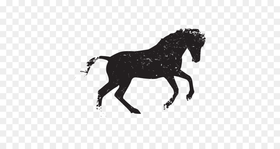 Cheval Noir，Silhouette PNG