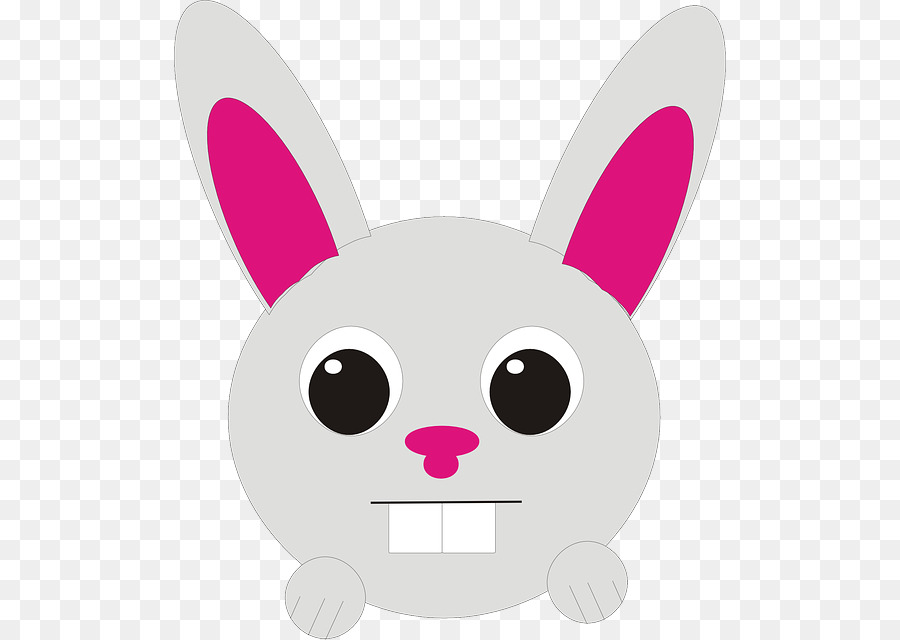 Visage De Lapin，Mignon PNG